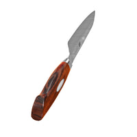 Xinzuo Jiang Minisantokuveitsi, 14 cm